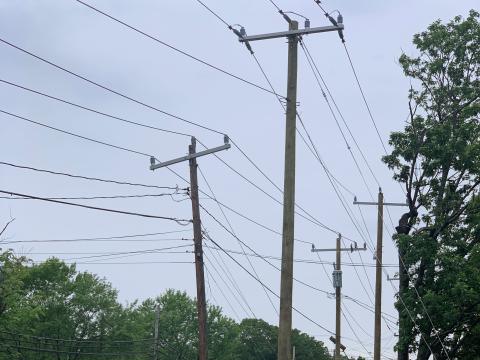 At SVD Looking North